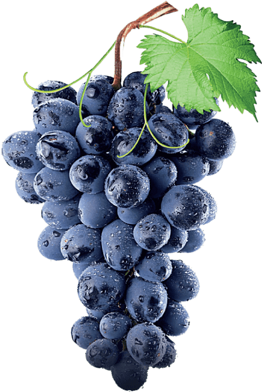 Vindaré